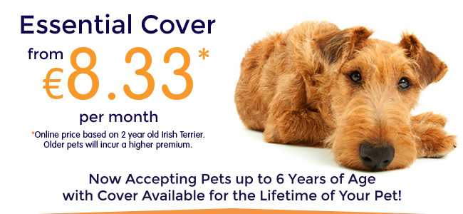 pets insurance