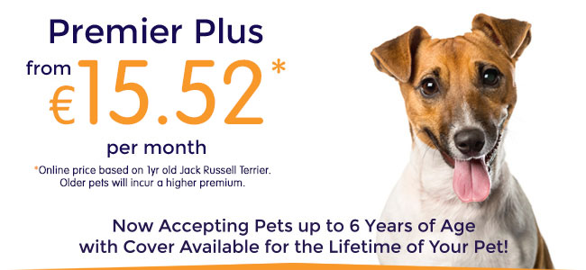 Cheap Pet Insurance For Puppies The Y Guide